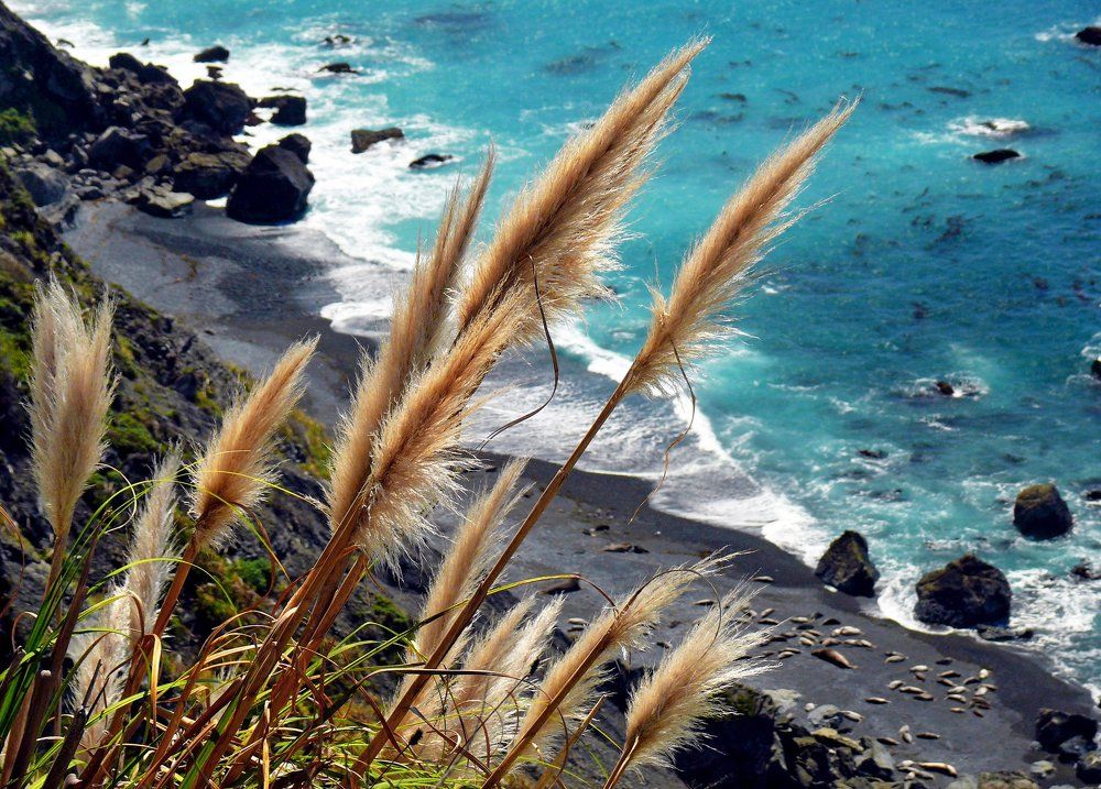 Морской пейзаж