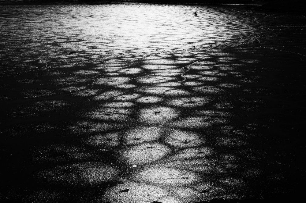 последний лед