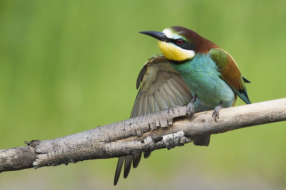 Вот какая Я!