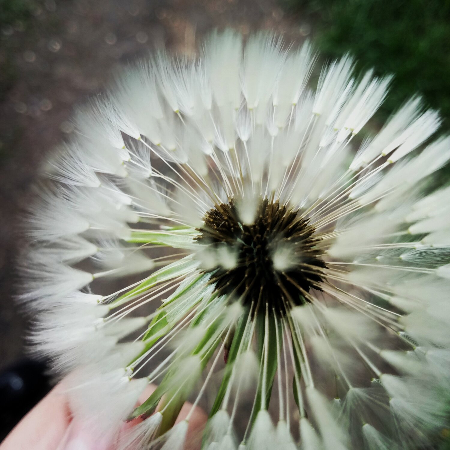 Photo #1788090