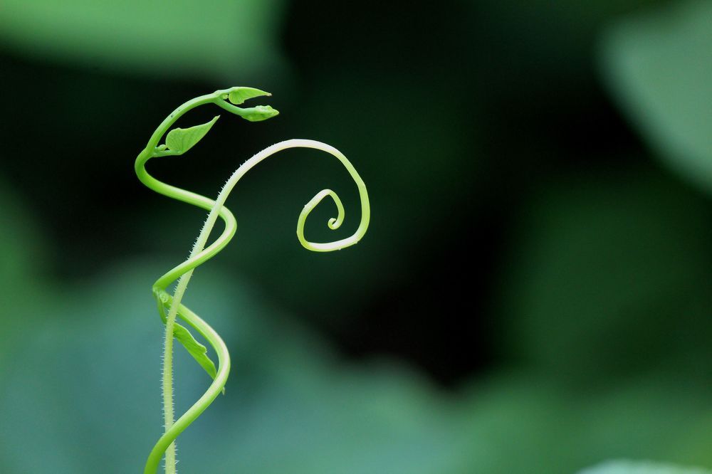 Respect the environment