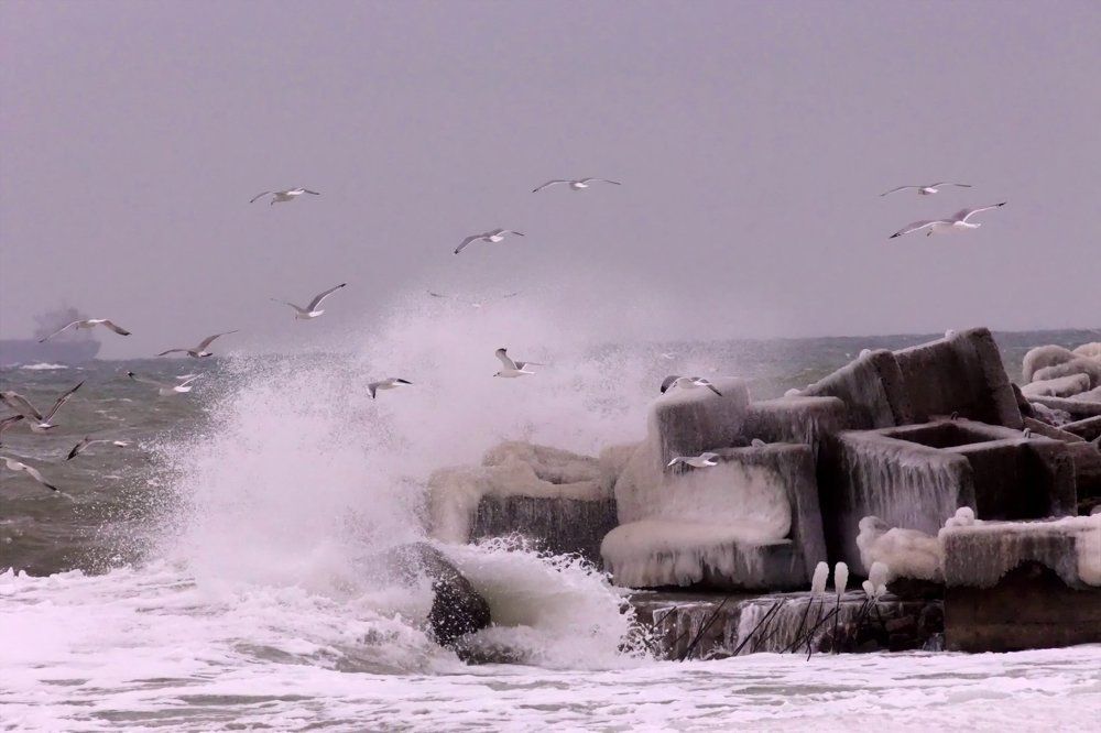Море, ветер, чайки, ледяной шторм