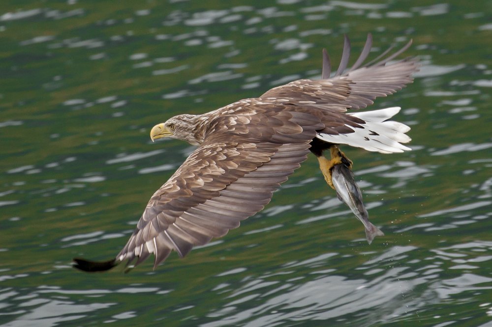 Photograph by Геннадий