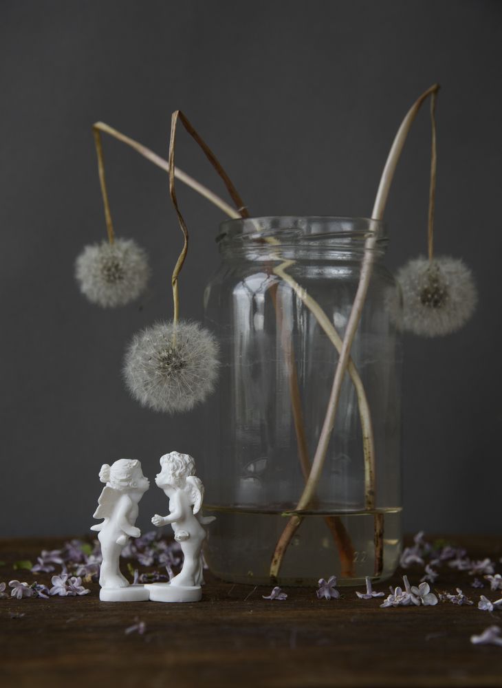 Ангелы и одуванчики