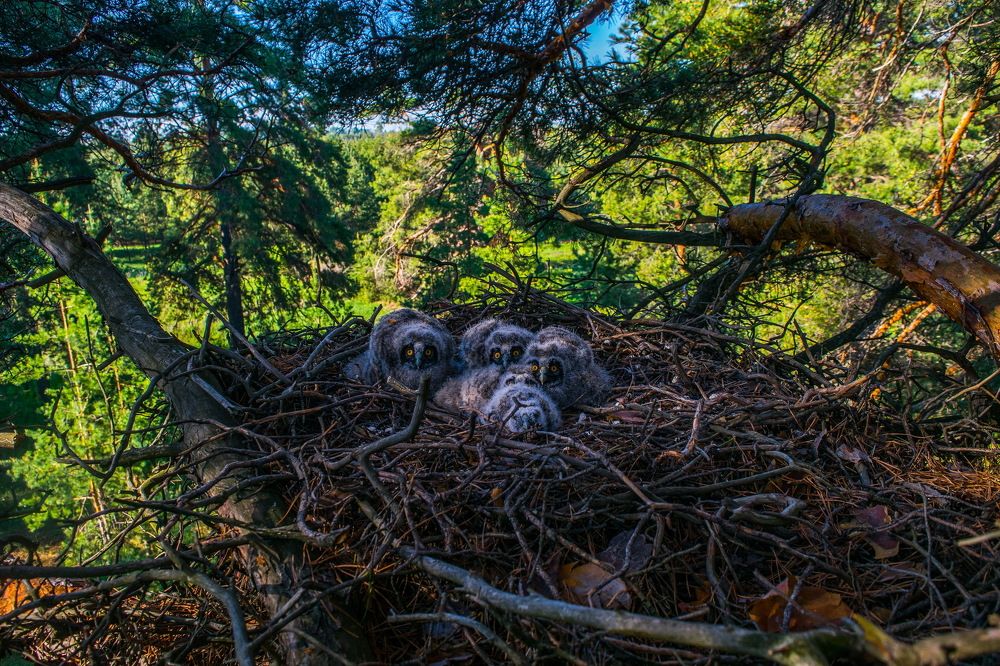 Ваши дети дома?