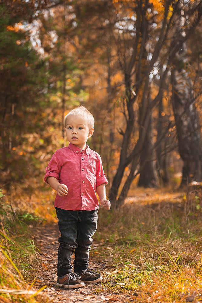 В сказочном лесу