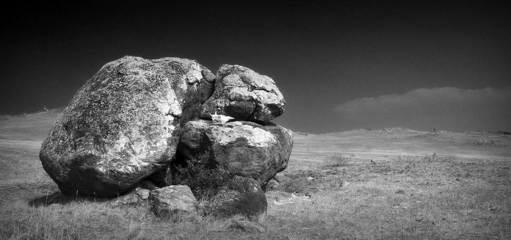 Каменная черепаха.