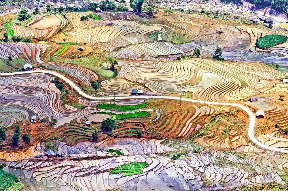 Terraced rice paddy