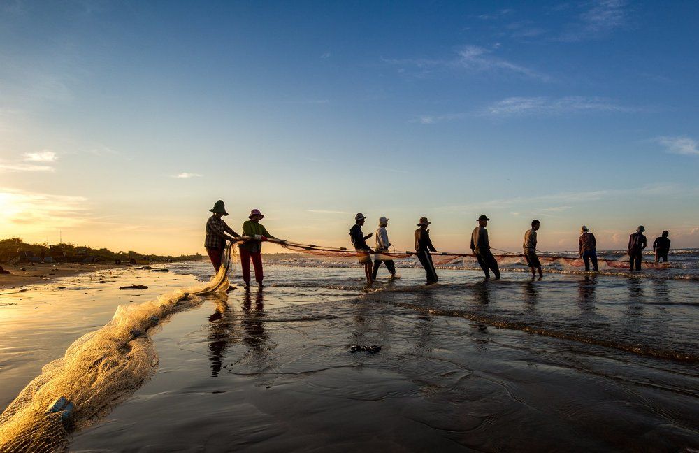 Catching fish by Rùng fishing net