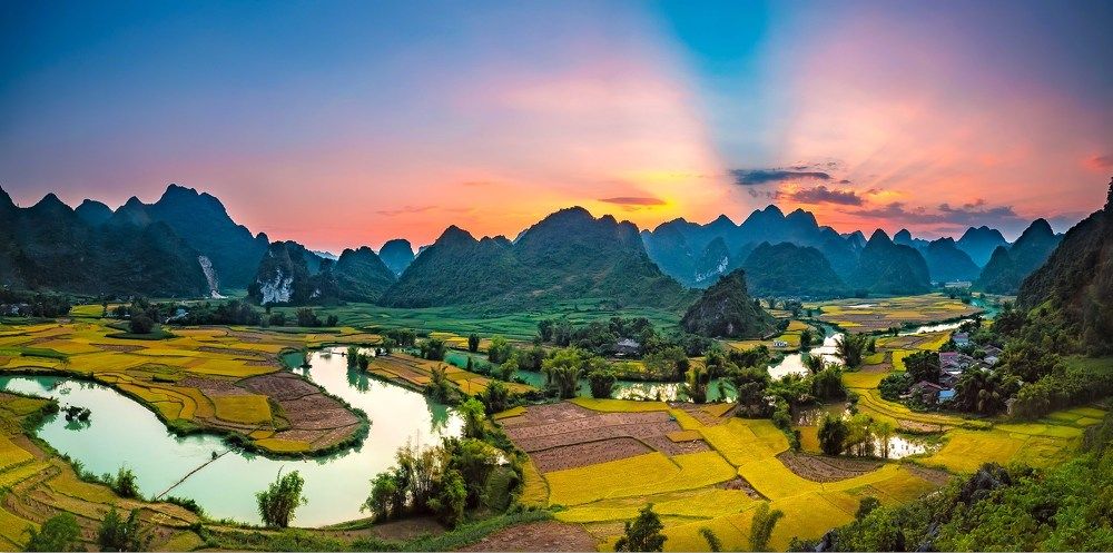 Landscape with rice field in Vietnam