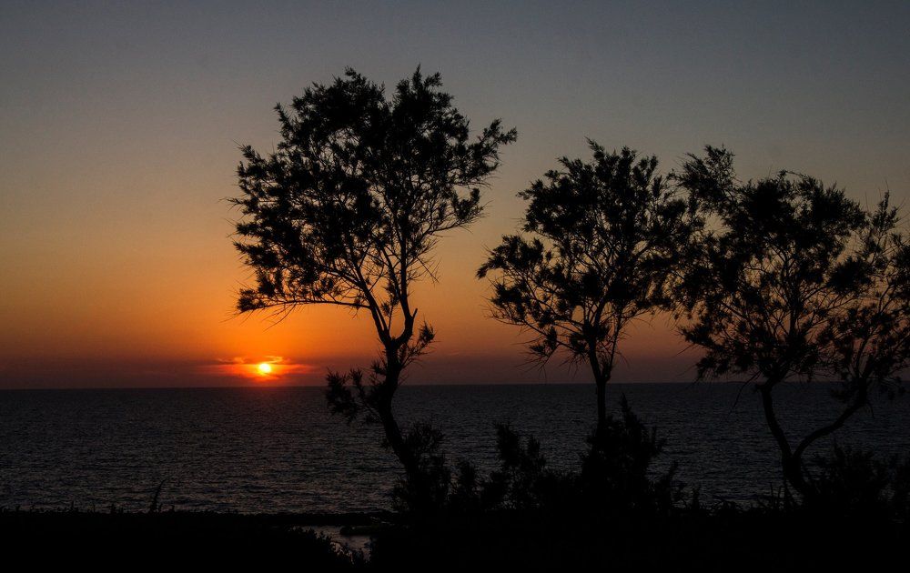 Photograph by Бадаев Антон