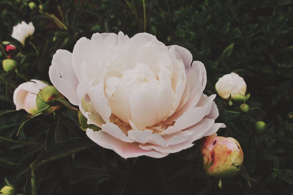 Фотография автора Арканникова Настя