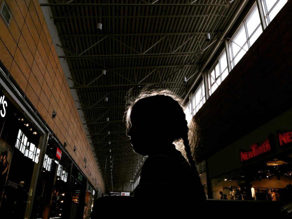 Приключения Василисы