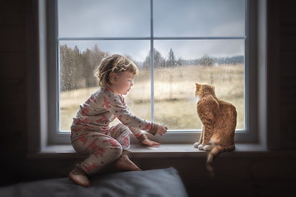 Photograph by Анна Родионова