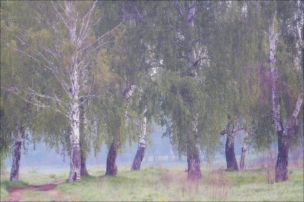 Фотография автора Новиков Вячеслав