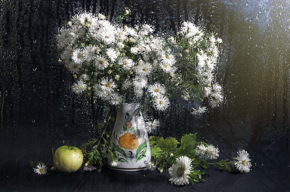 Многолетние белые астры