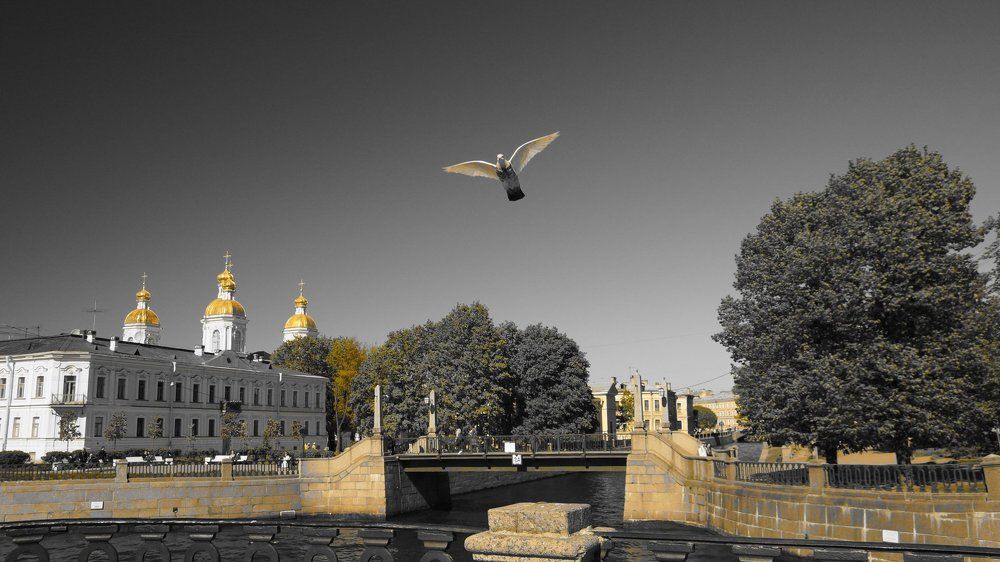 Золотые купола Николо-Богоявленского Морского Собора Санкт-Петербурга.