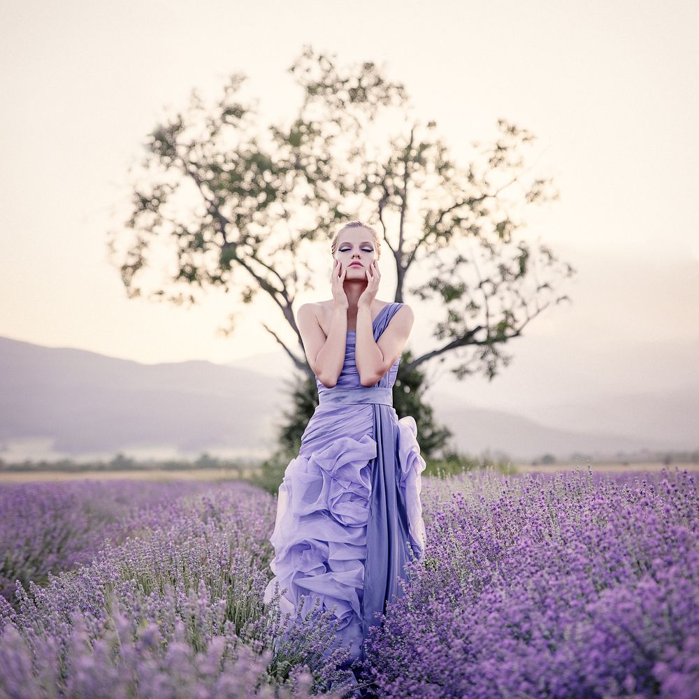 Lavender mood