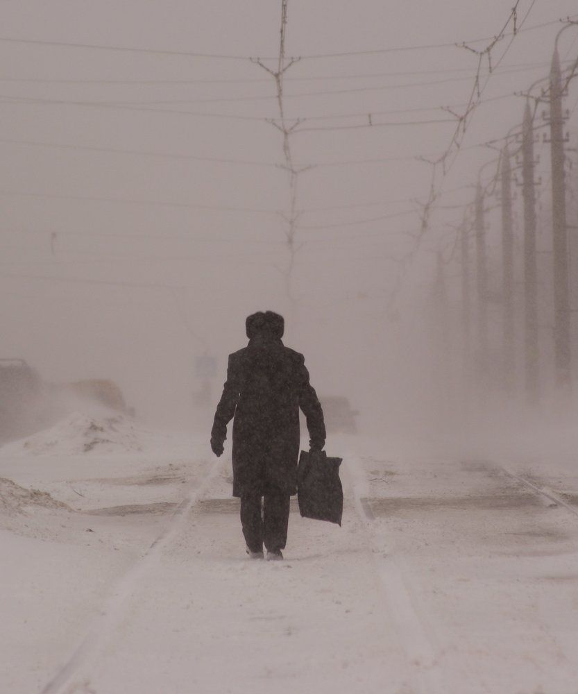 сквозь метель