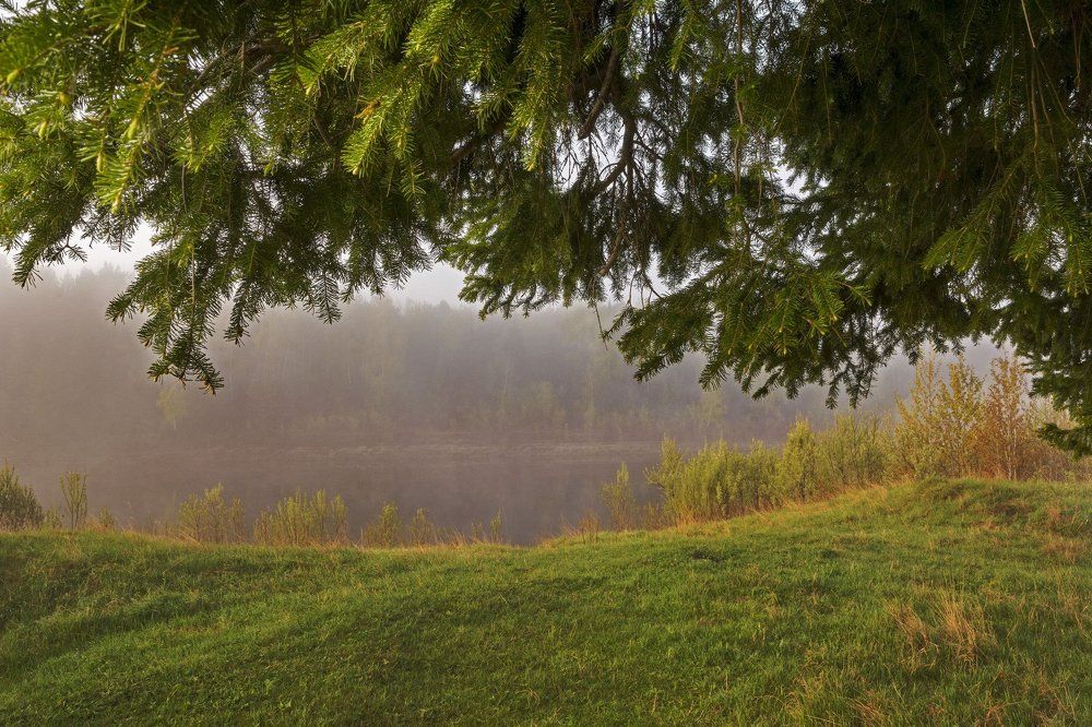 Photograph by Сергей