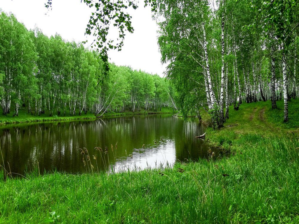 летняя прогулка