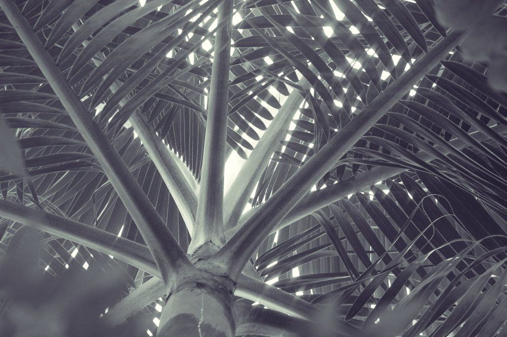 ... и пробьется солнечный свет