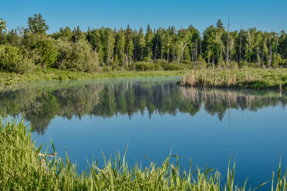 таежная река