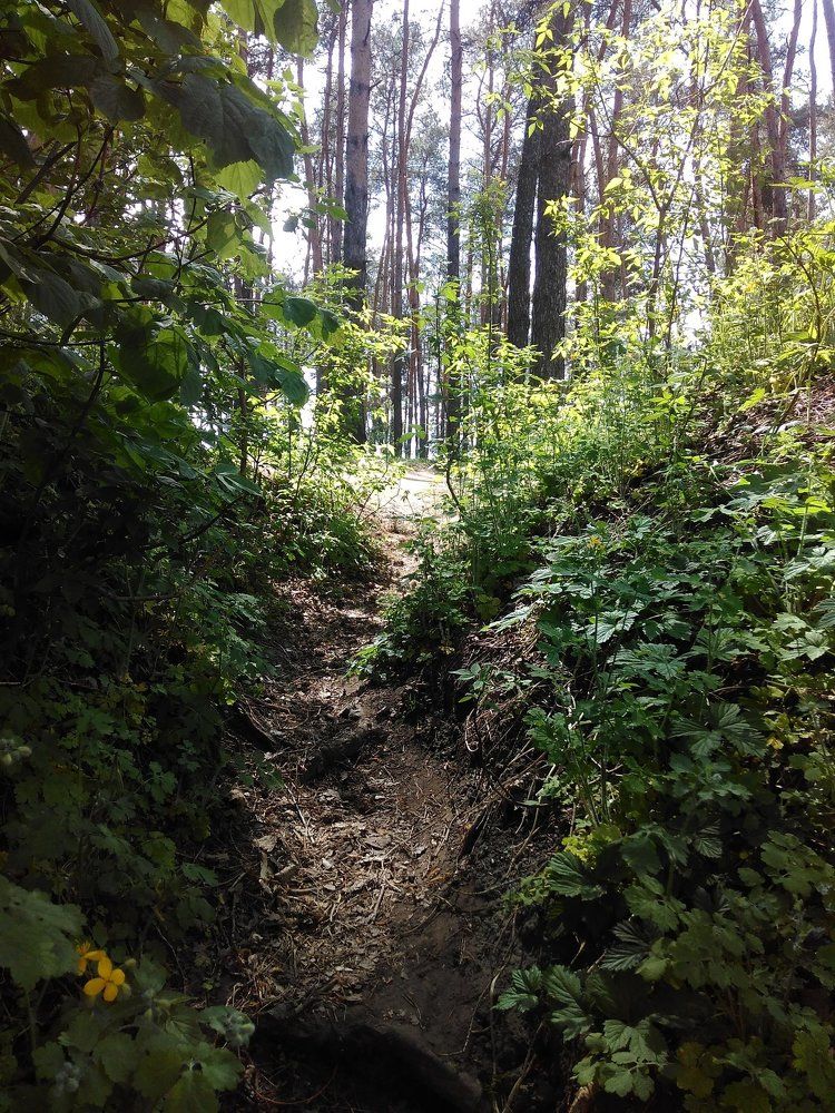 Весна прекрасна