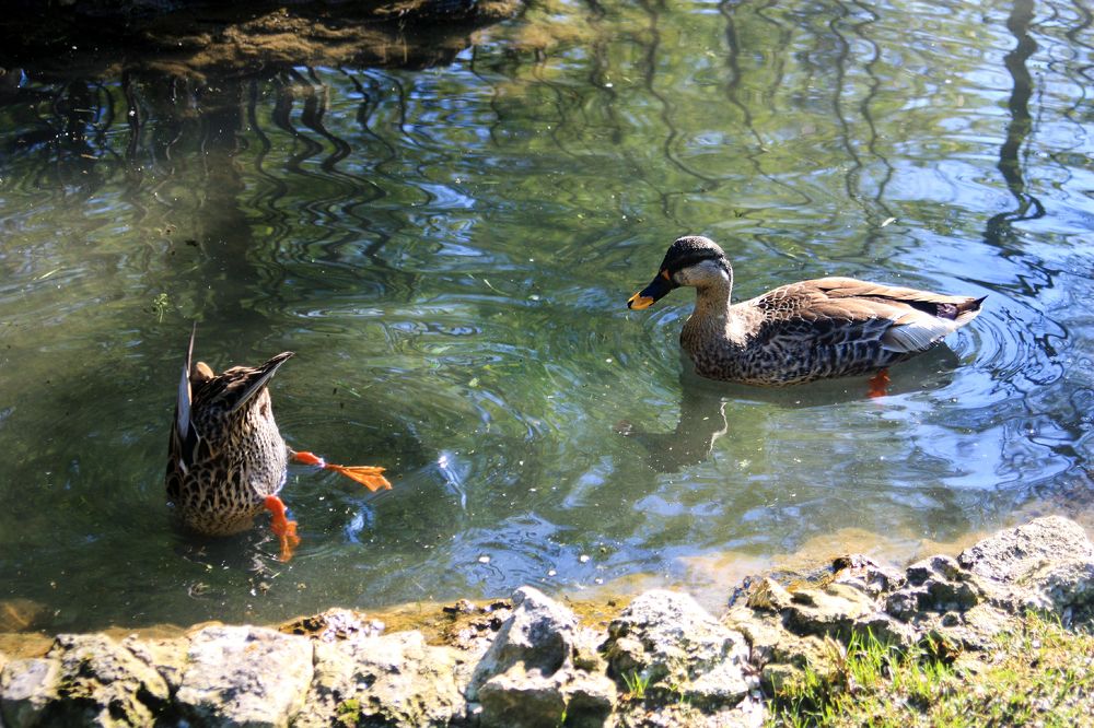 Я обиделась!