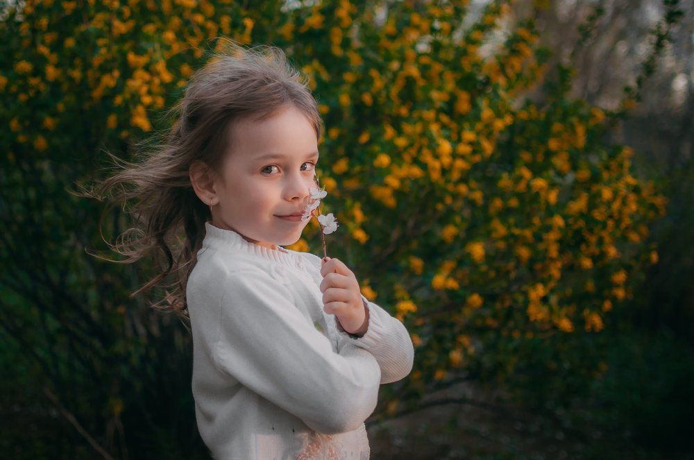 Фотография автора Дарья Шевченко