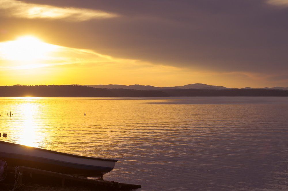 Photograph by Анастасия Шаехова