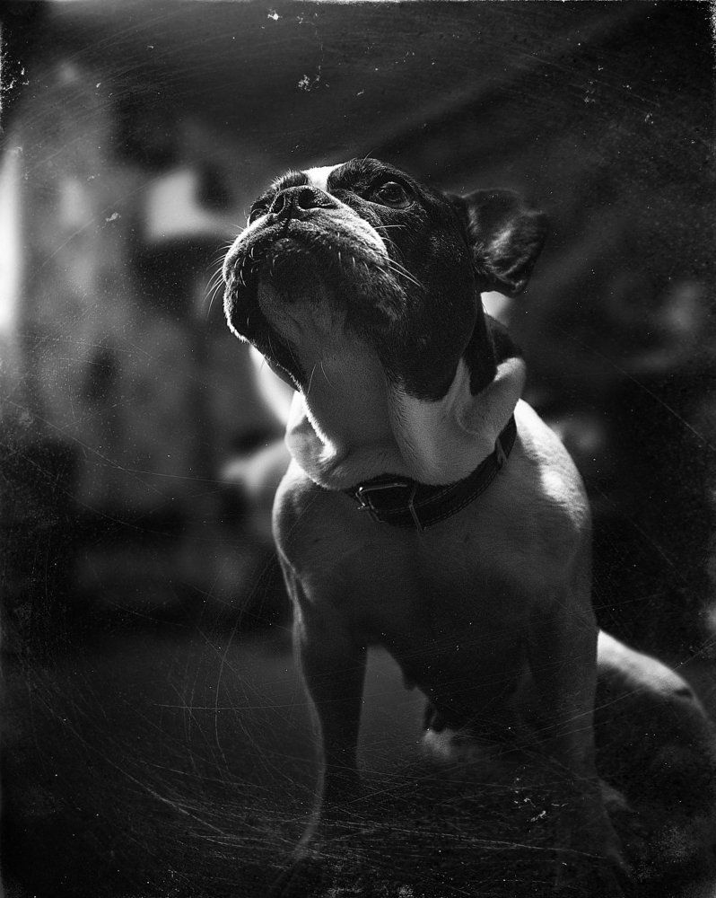 ужасная обаяшка