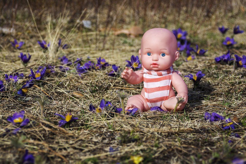 Кукольный портрет