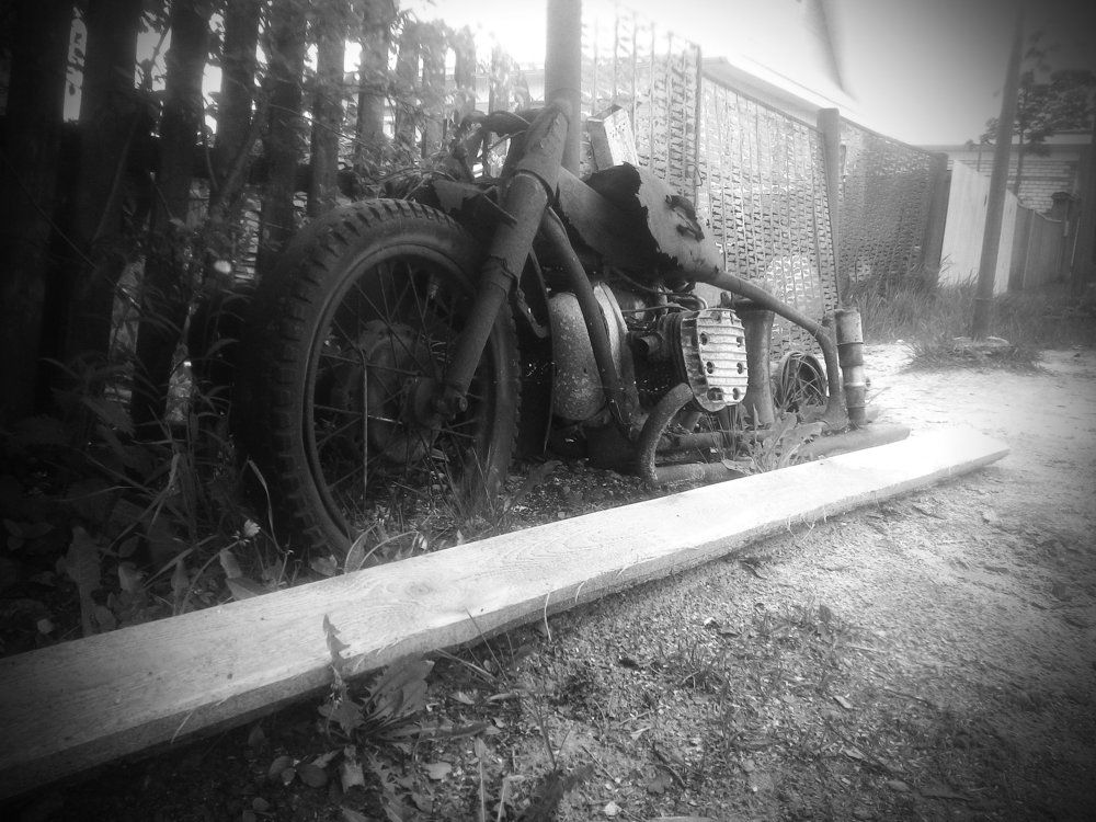 Photograph by Александр Курылёв