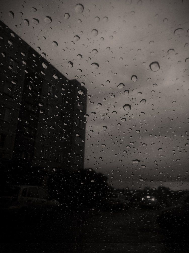 Photograph by Александр Курылёв