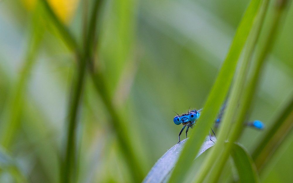 Сделай первый шаг и ты поймешь, что не все так страшно. © Сенека