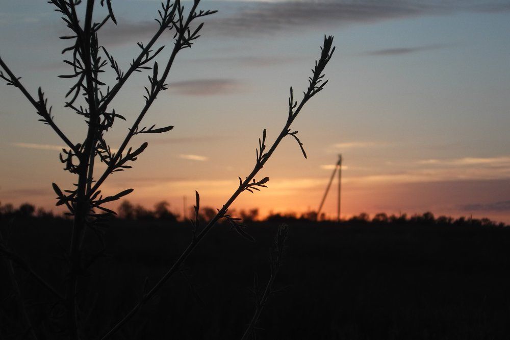 Фотография автора Арканникова Настя