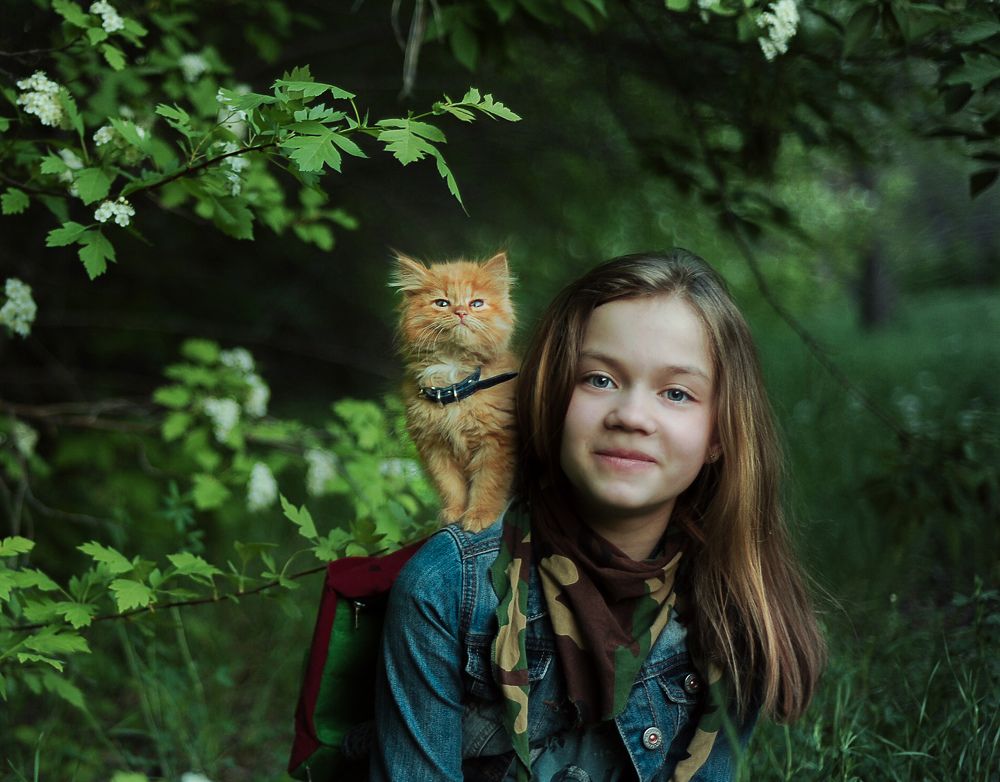 Котенок по имени Кокос