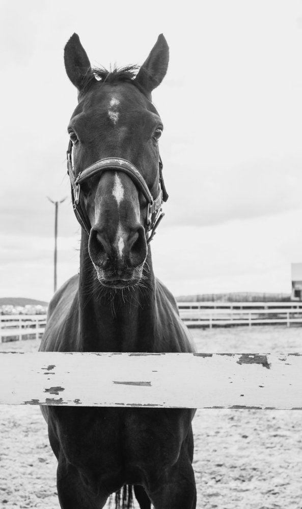 Энергия и грация