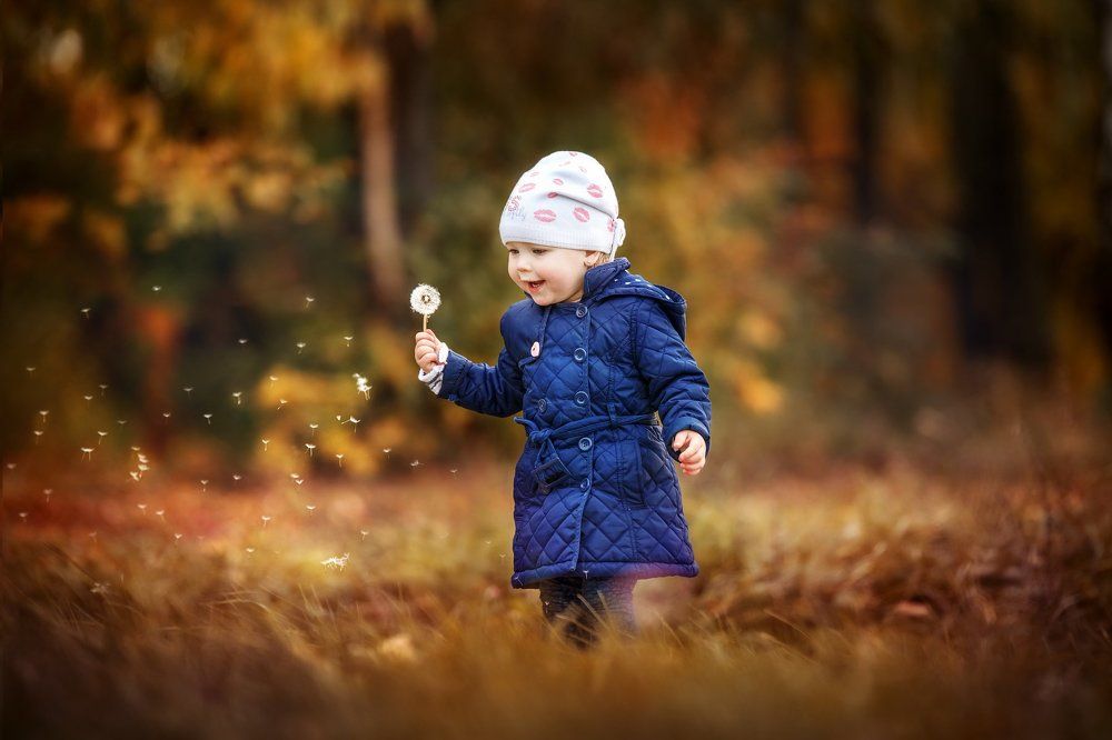 Маленькие осенние радости...