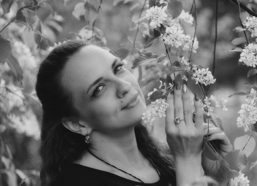 Черемуховый бриз