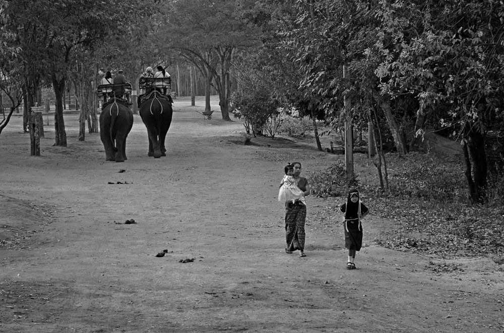 Деревенские будни