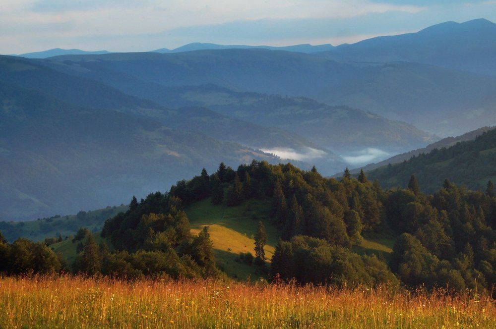 цветной ландшафт