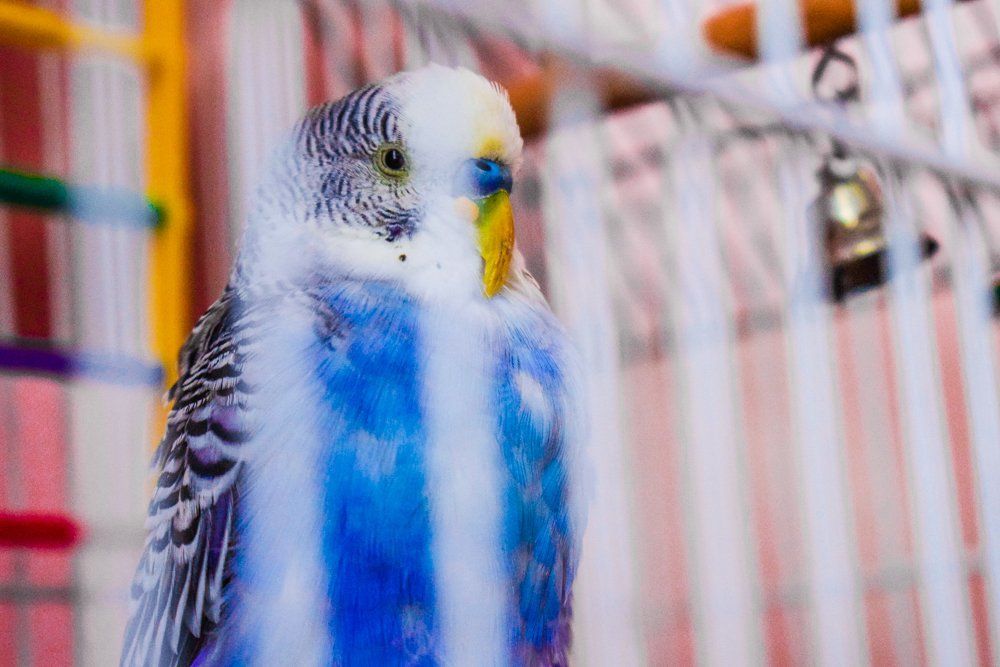 Photograph by karina2699