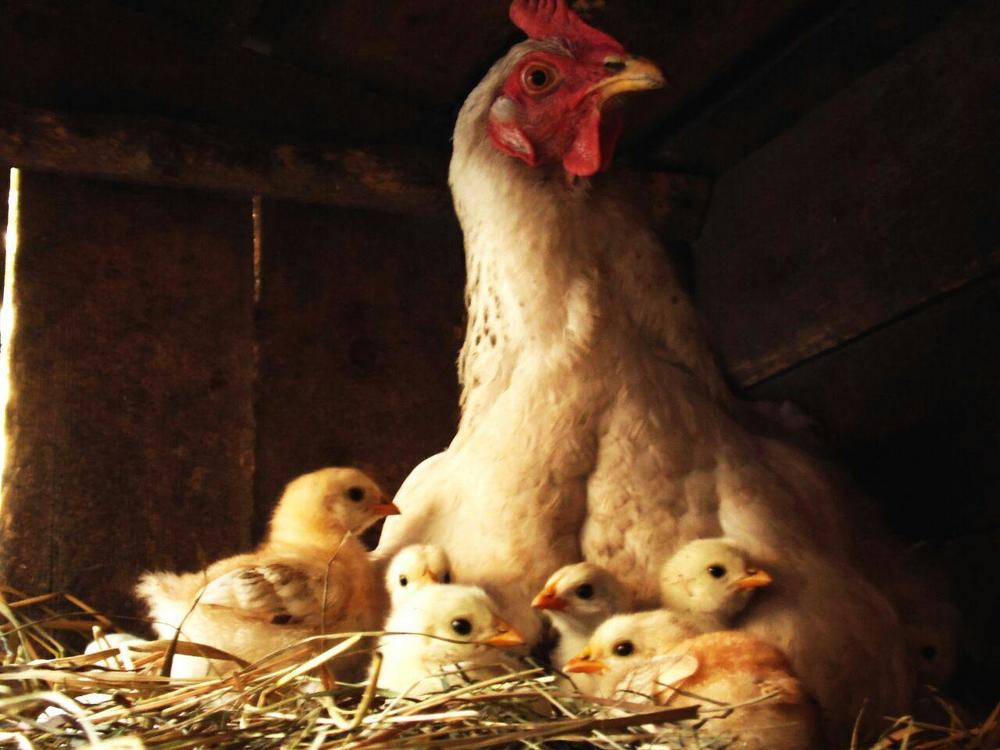 Photograph by karina2699