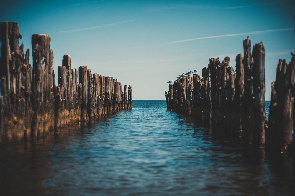 Дорога в море.