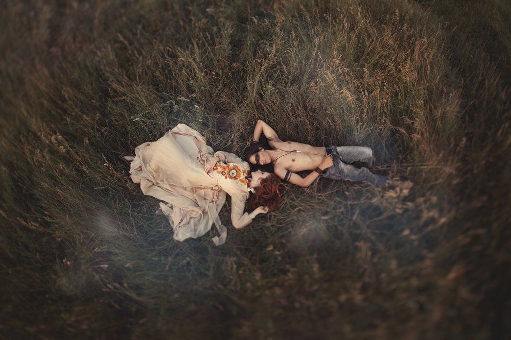 сокол и солнце