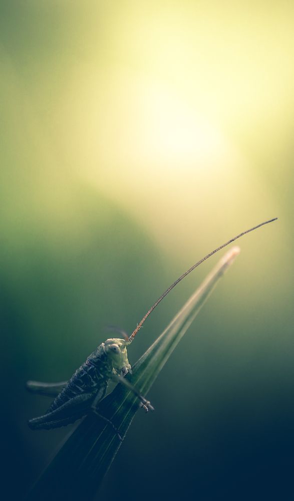 Photograph by Сергей Масленников