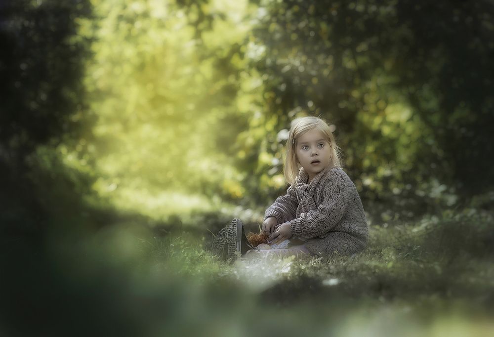 Сказочный лес