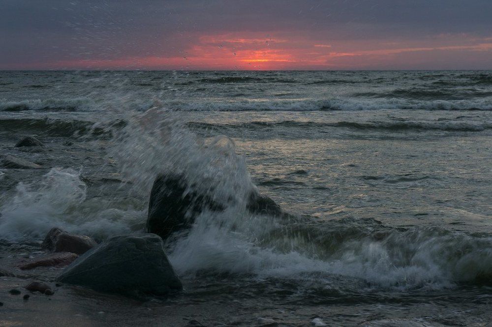 Брызги Балтики